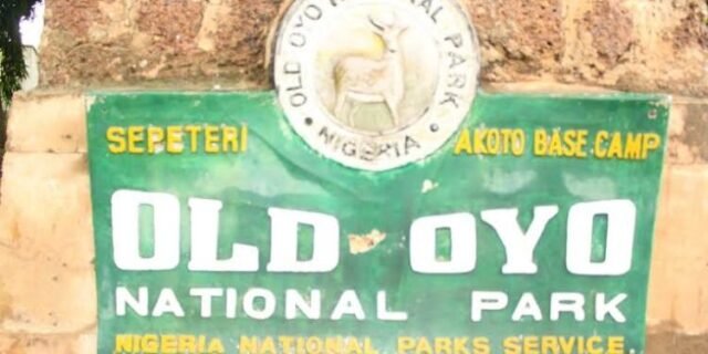 Security Agents, Local Vigilantes Arrest 5 Suspects at Old Oyo Forest Reserve